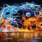 zalo thiên hạ bet